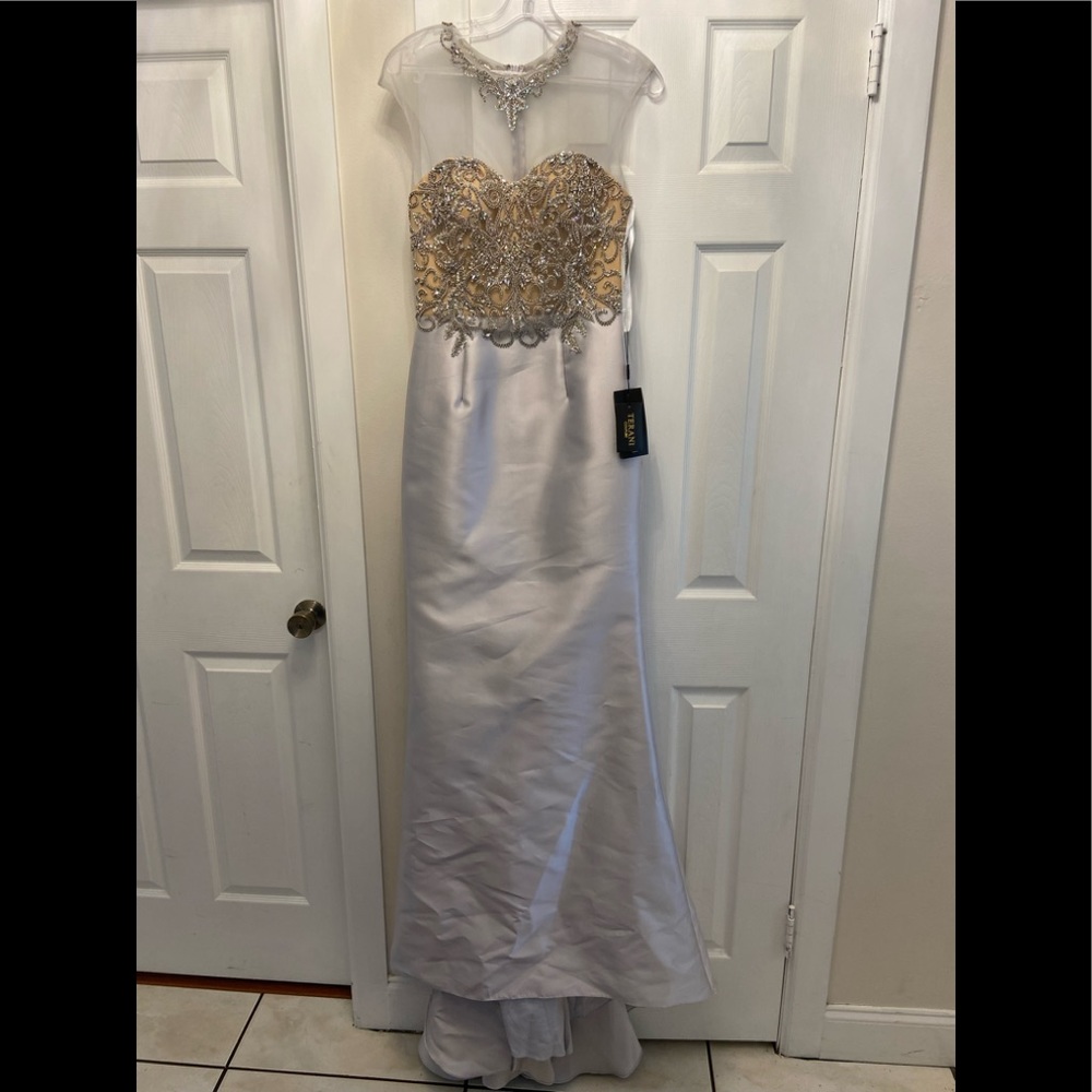 Silver Size 6 mermaid Terani Gown